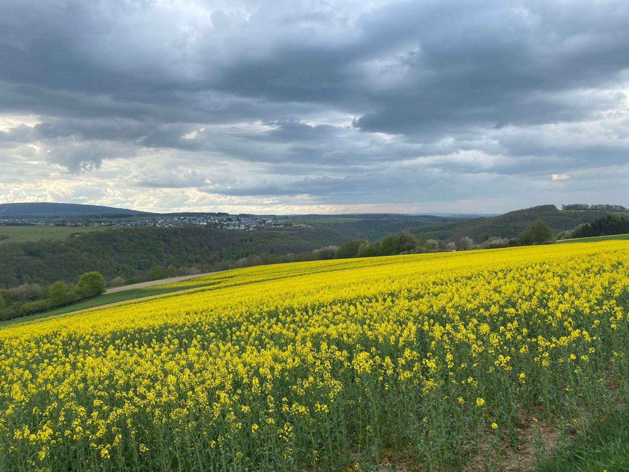 Hunsrueck Valley View Apartment With Cedar Sauna Bruschied Εξωτερικό φωτογραφία